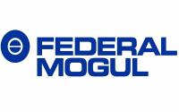 FEDERAL MOGUL